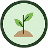 Botanical Living